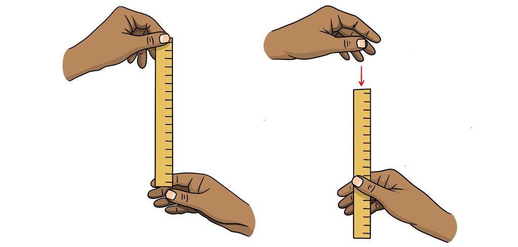 Dropping Rulers diagram